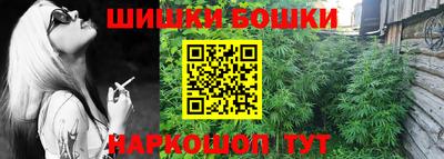 МДПВ Краснознаменск