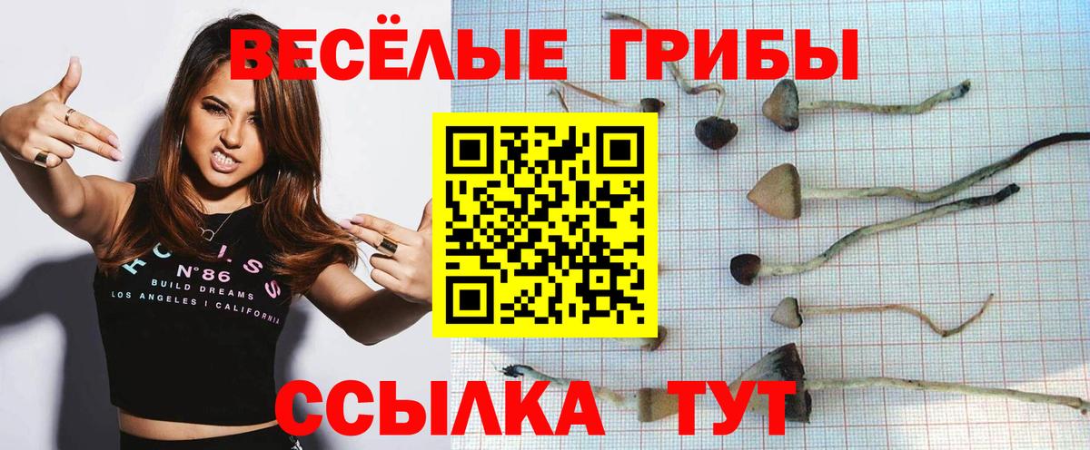 Пенза  Псилоцибиновые грибы прущие грибы  Вход с VPN 